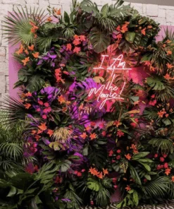 Décor Complet « I am the Magic »
