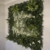 Néon « Welcome to the Madhouse »