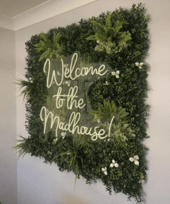 Néon « Welcome to the Madhouse »