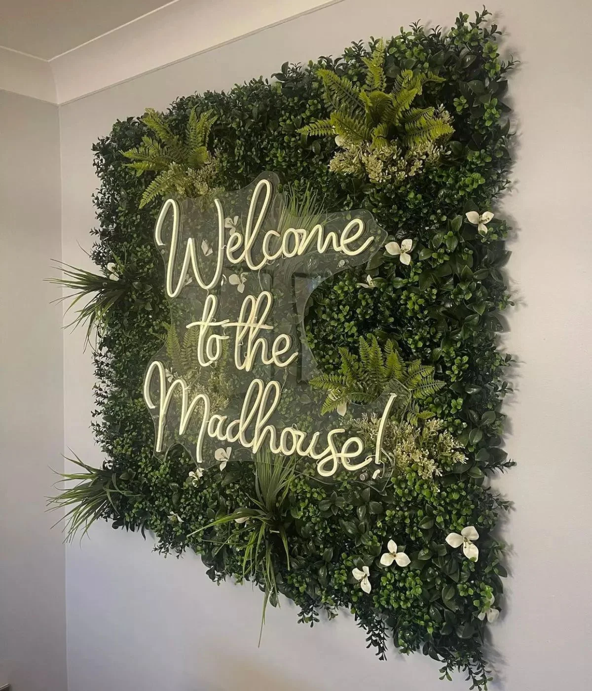 Néon « Welcome to the Madhouse »