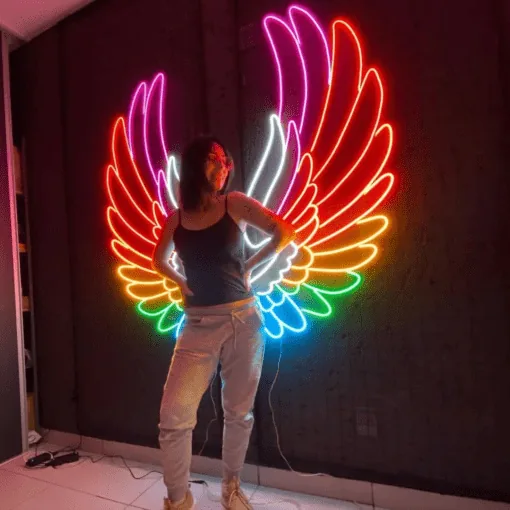 Ailes Colorées