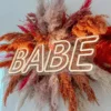 Pièce Décorative Moelleuse « BABE »