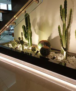 Jardin de Cactus en Marbre sous l’Escalier