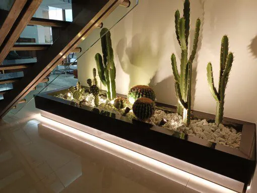 Jardin de Cactus en Marbre sous l’Escalier