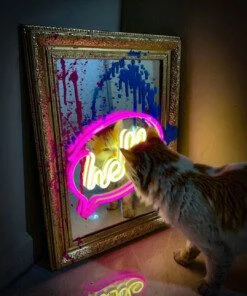 Miroir Néon avec Cadre Vintage