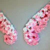 Ailes Florales