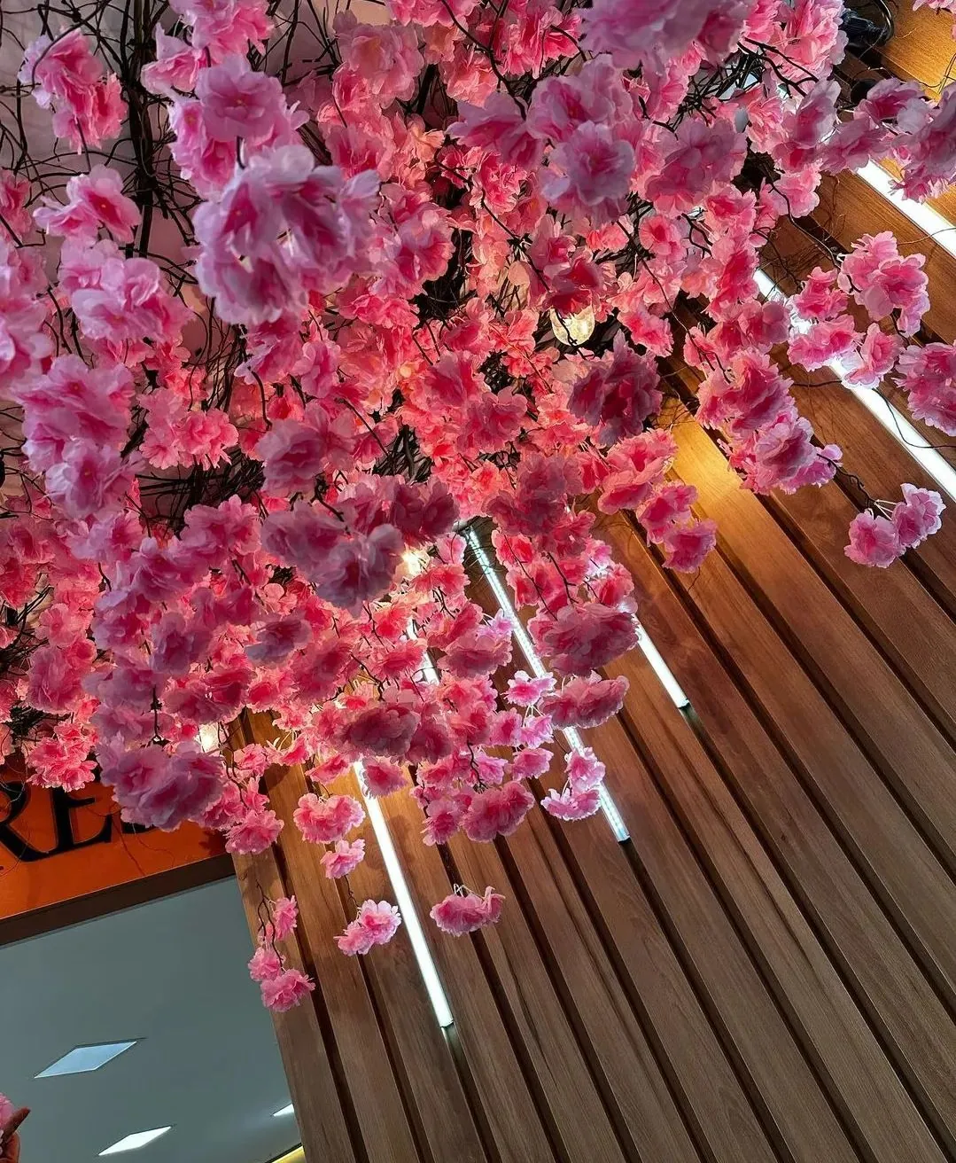 Composition de Cerisier en Fleurs