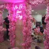 Cadre de Miroir avec Composition Florale