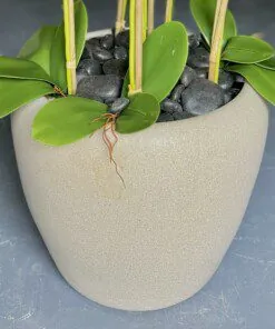 Oval Stone Ceramic