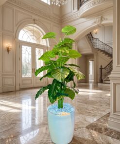 Alocasia Tree 130 cm styled in an interior — Neon Jungle Studios
