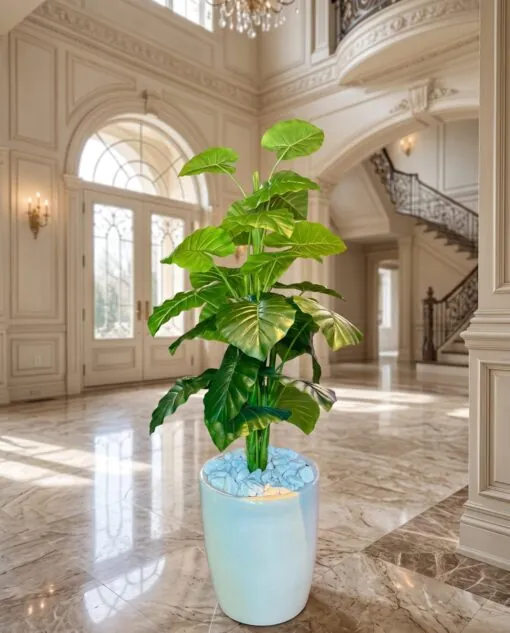 Alocasia Tree 130 cm styled in an interior — Neon Jungle Studios