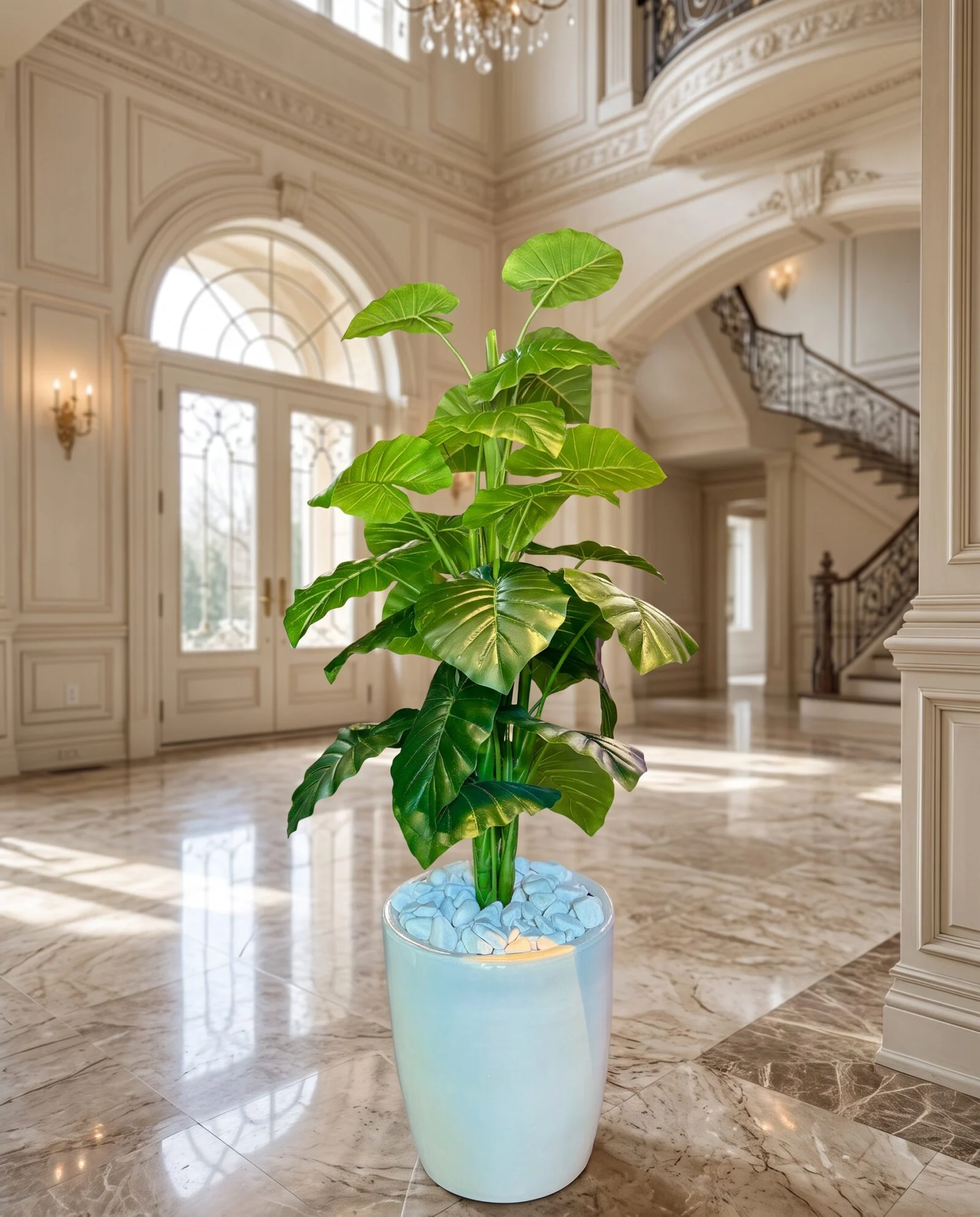 Alocasia Tree 130 cm styled in an interior — Neon Jungle Studios