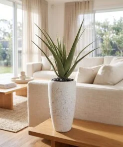 Aloe Vera 50 cm styled in an interior — Neon Jungle Studios