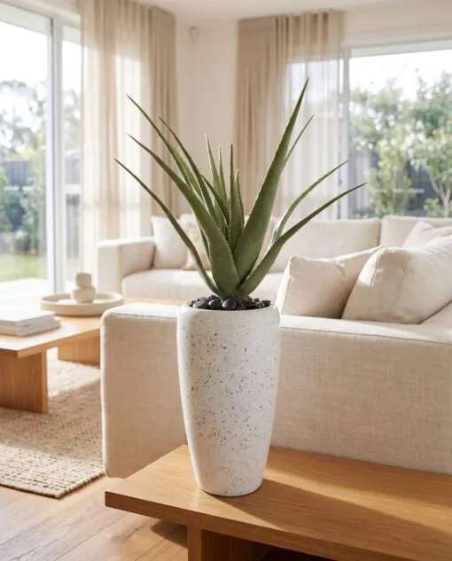 Aloe Vera 50 cm styled in an interior — Neon Jungle Studios