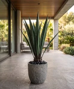 Aloe Vera Tree Large 130 cm styled in an interior — Neon Jungle Studios
