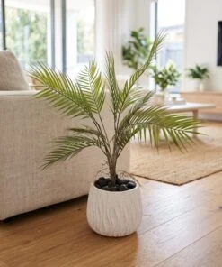 Areca 30 cm styled in an interior — Neon Jungle Studios
