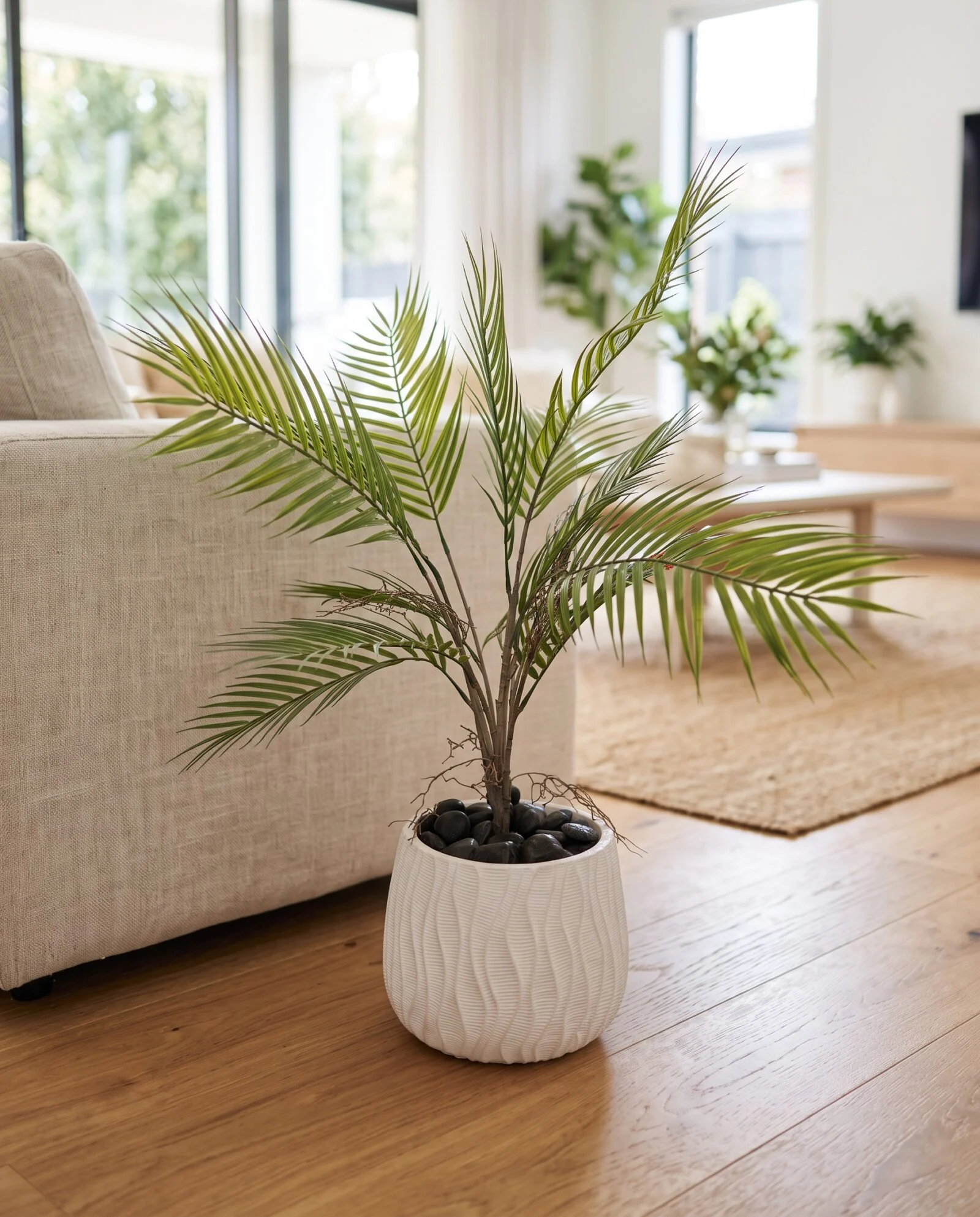 Areca 30 cm styled in an interior — Neon Jungle Studios