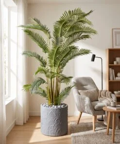 Areca Palm 200 cm styled in an interior — Neon Jungle Studios