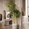 Areca Palm 5 Trunks 250 cm styled in an interior — Neon Jungle Studios