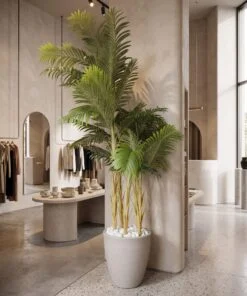 Areca Palm 5 Trunks 250 cm styled in an interior — Neon Jungle Studios