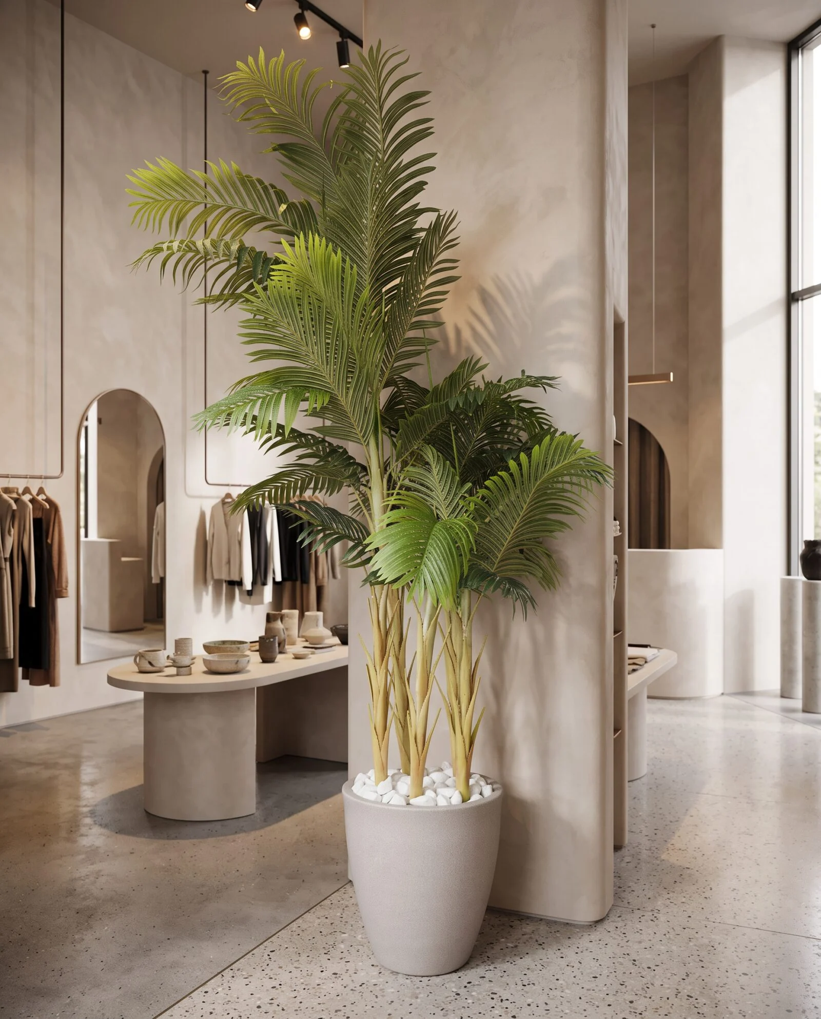 Areca Palm 5 Trunks 250 cm styled in an interior — Neon Jungle Studios