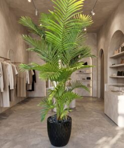 Areca Palm Bright green 220 cm styled in an interior — Neon Jungle Studios