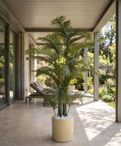 Areca Palm Dark green 200 cm styled in an interior — Neon Jungle Studios
