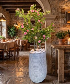 Baby Rose Plant 110 cm styled in an interior — Neon Jungle Studios