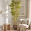 Bamboo Tree 240 cm styled in an interior — Neon Jungle Studios