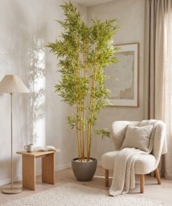 Bamboo Tree 240 cm styled in an interior — Neon Jungle Studios