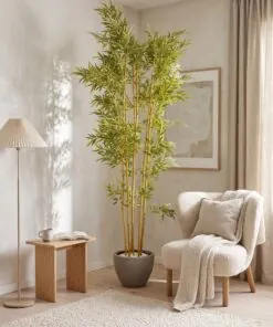 Bamboo Tree 240 cm styled in an interior — Neon Jungle Studios