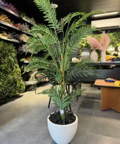 Palmier Areca 140 cm