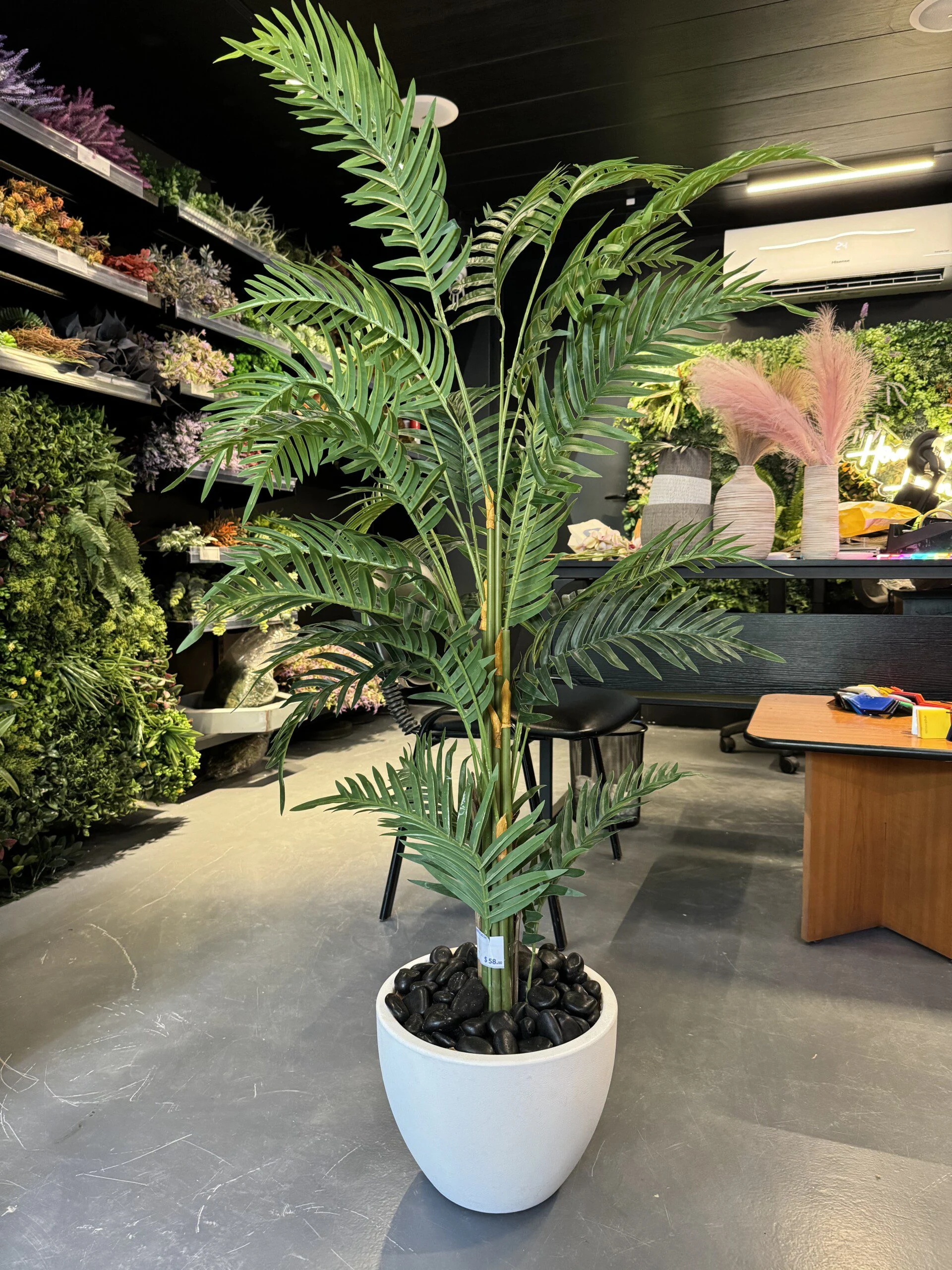 Palmier Areca 140 cm