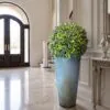 Buxus Ball Lavender 53 cm styled in an interior — Neon Jungle Studios