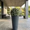 Buxus Ball White flowers 45 cm styled in an interior — Neon Jungle Studios