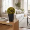 Buxus Ball Yellow flowers 35 cm styled in an interior — Neon Jungle Studios