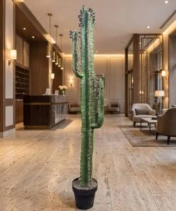 Cactus 150 cm 2 hands styled in an interior — Neon Jungle Studios