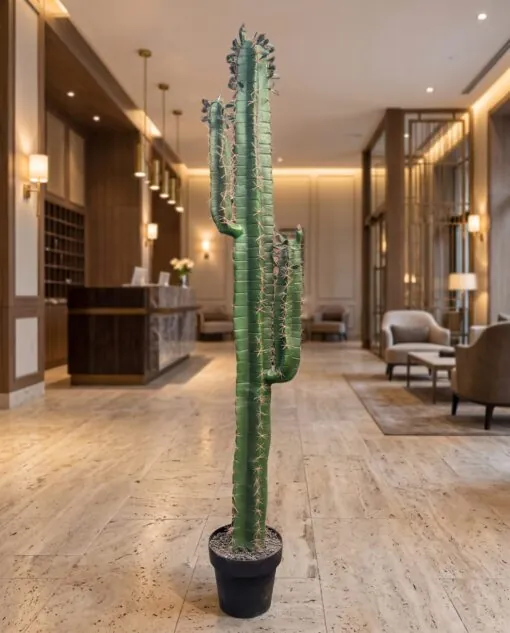 Cactus 150 cm 2 hands styled in an interior — Neon Jungle Studios
