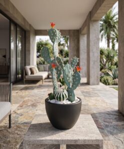Cactus Arrangement with planter A styled in an interior — Neon Jungle Studios