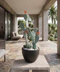 Cactus Arrangement with planter A styled in an interior — Neon Jungle Studios