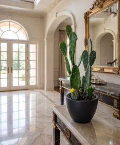 Cactus Arrangement with planter B styled in an interior — Neon Jungle Studios