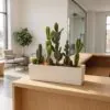 Cactus Arrangement with planter C styled in an interior — Neon Jungle Studios