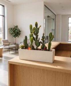 Cactus Arrangement with planter C styled in an interior — Neon Jungle Studios
