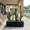 Cactus Arrangement with planter D styled in an interior — Neon Jungle Studios