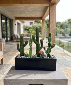 Cactus Arrangement with planter D styled in an interior — Neon Jungle Studios