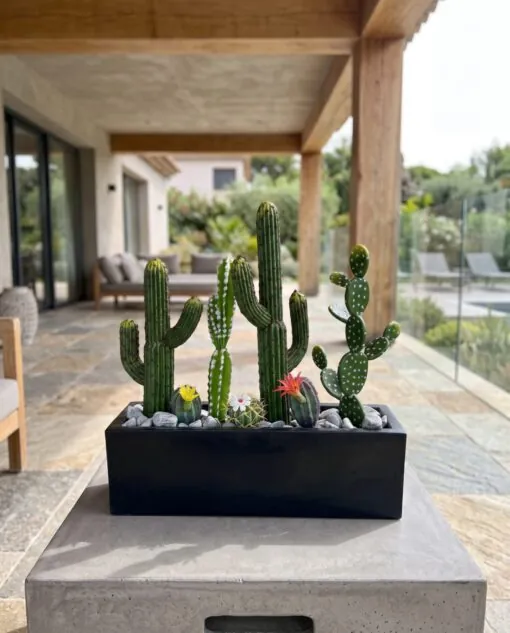 Cactus Arrangement with planter D styled in an interior — Neon Jungle Studios