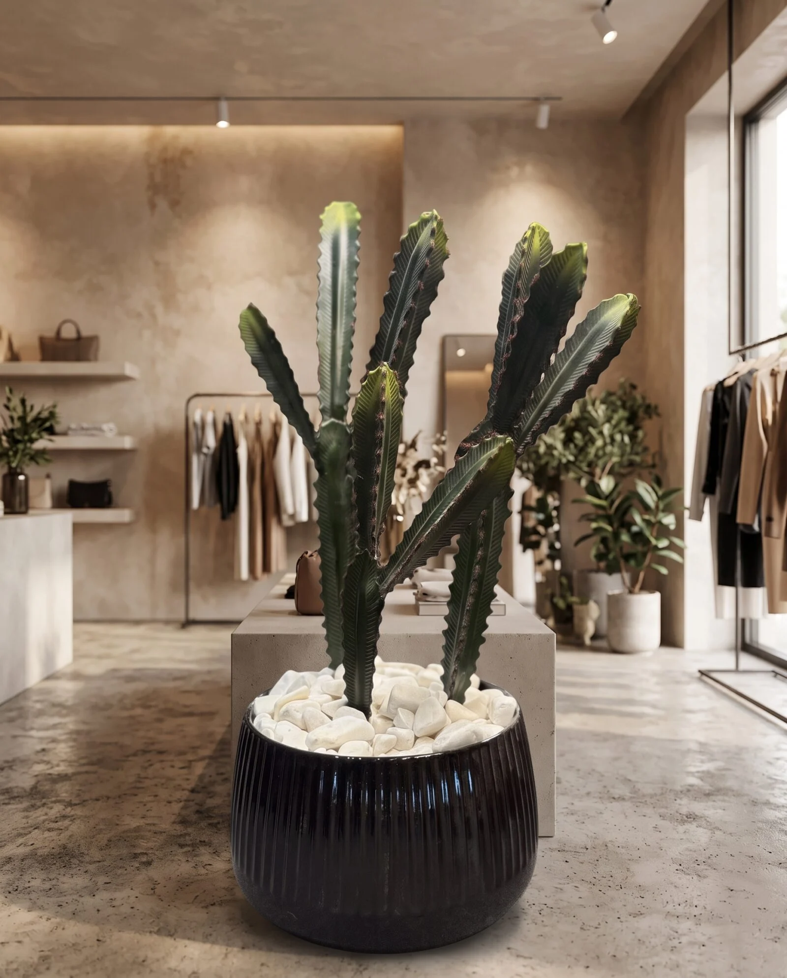 Cactus set of three 70 cm styled in an interior — Neon Jungle Studios