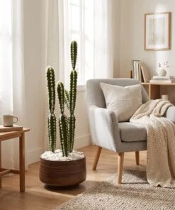 Cactus set of three 85 cm styled in an interior — Neon Jungle Studios