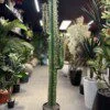 Cactus 2 bras 150 cm