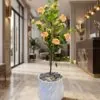 Camelia Tree 130 cm styled in an interior — Neon Jungle Studios